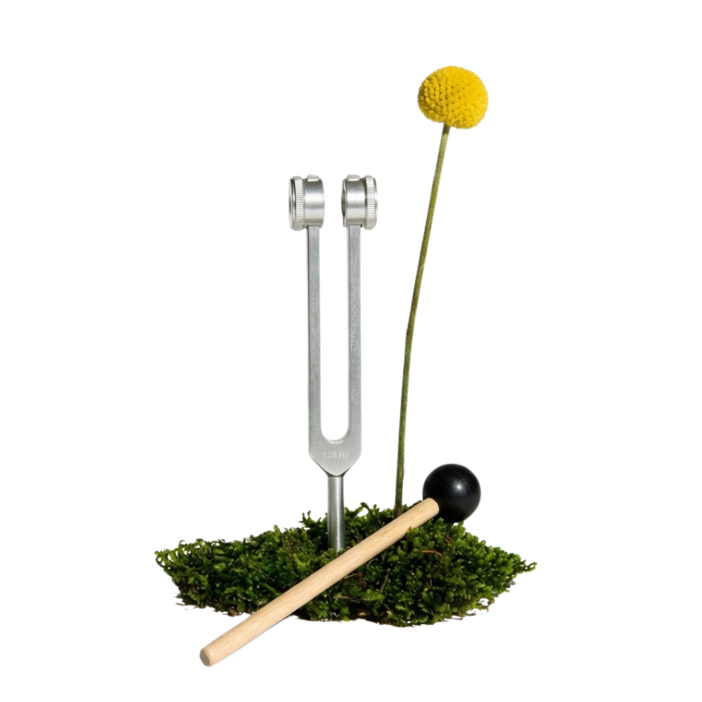 Tuning Fork
