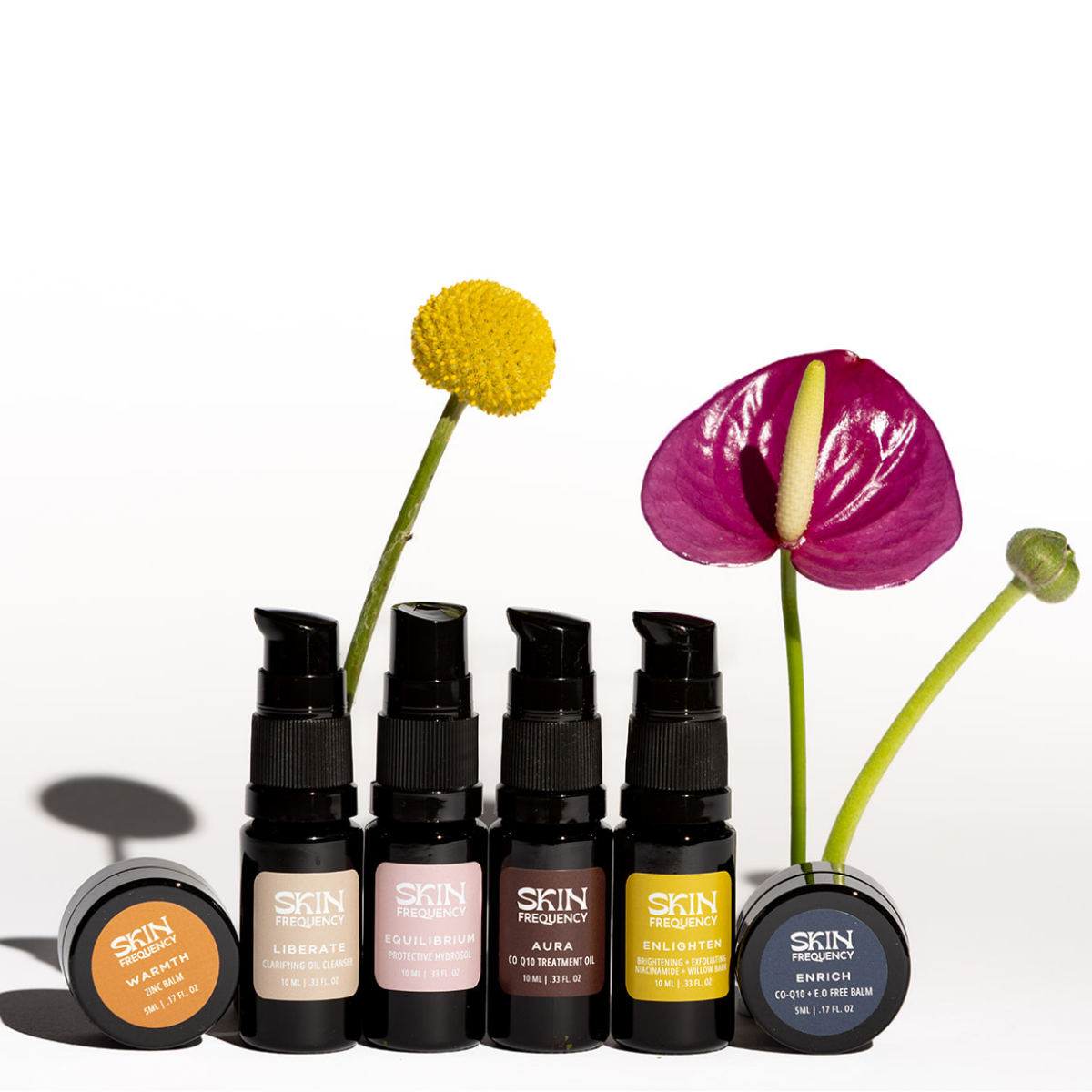 Discovery Sample Set