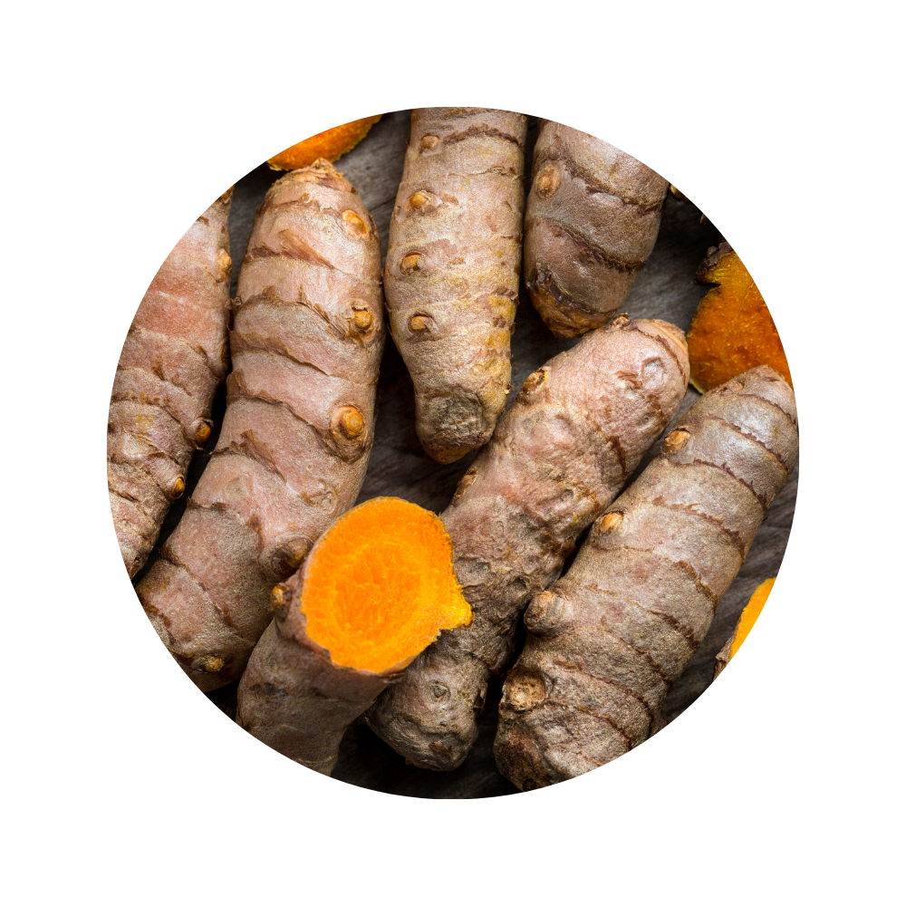 Turmeric Essential Oil 5ml