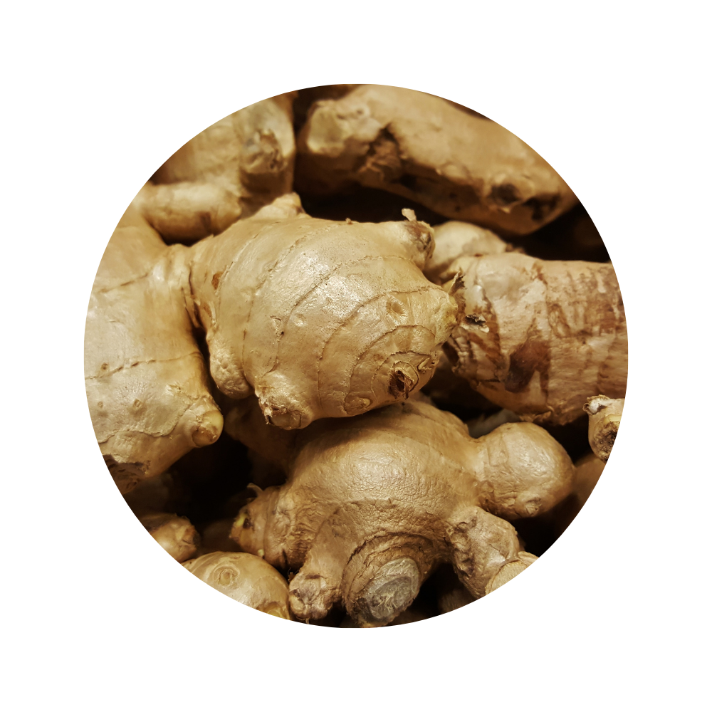 Ginger Essential Oil 5ml