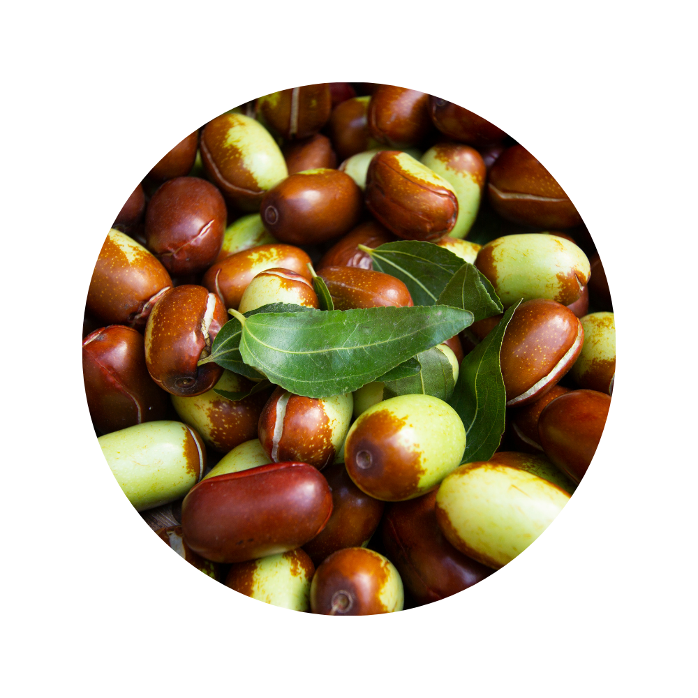 Jojoba Oil Carrier Oil 100ml